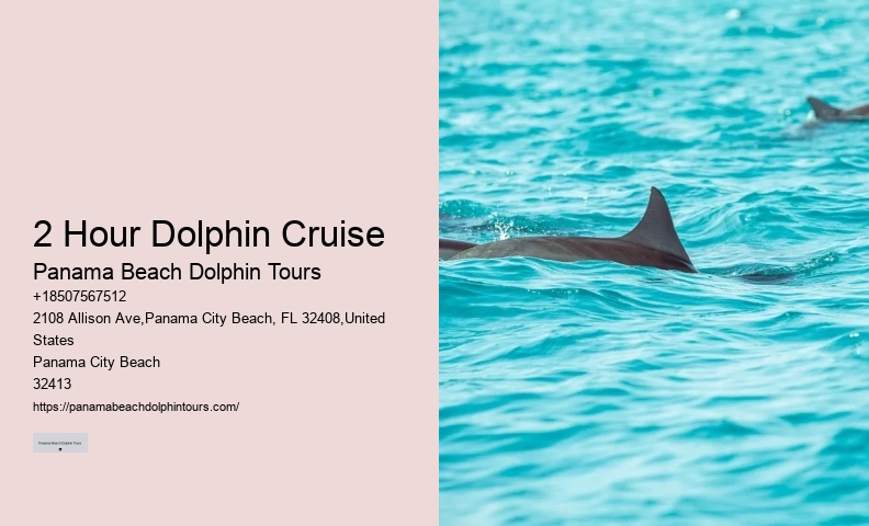 What type of dolphin species might we encounter on the tour