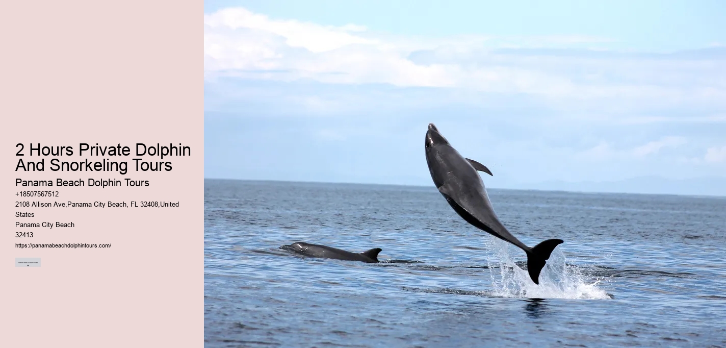 Do Dolphins Really Swim In Front Of Ships