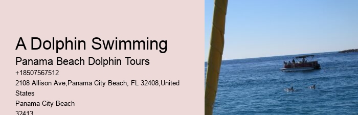 Gulf of Mexico