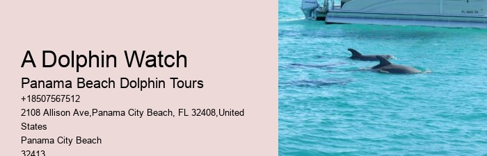 Can I request a specific time for my dolphin tour