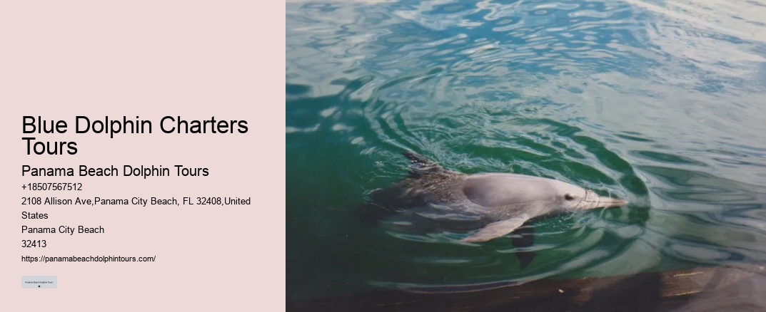 Blue Dolphin Charters Tours