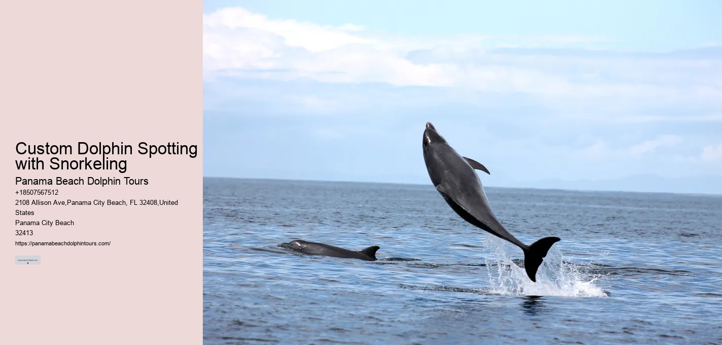 Dolphin Tour And Snorkeling Near Me