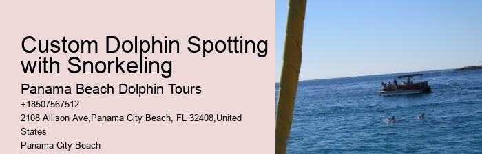 Private Dolphin And Snorkeling Tours