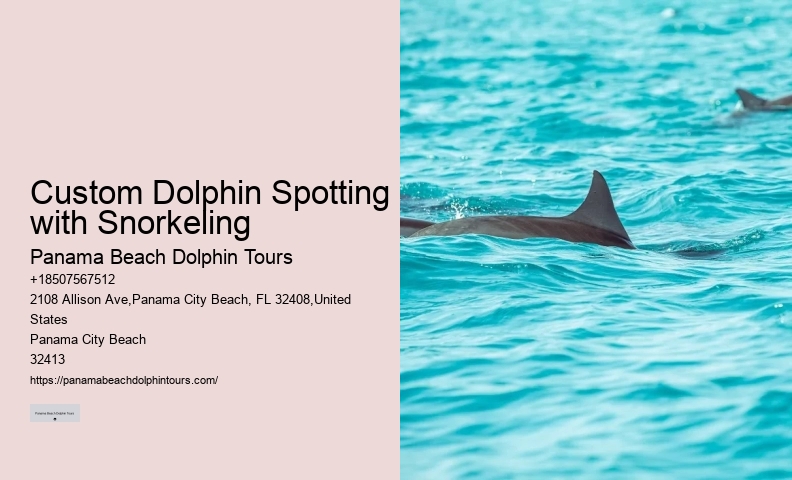 Dolphin Boat Adventures in PCB