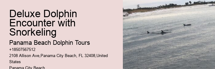 Panama City Beach Florida Boat Tours