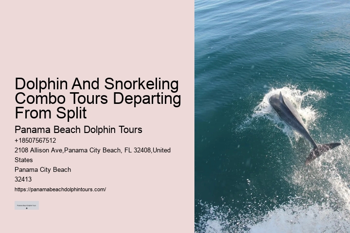 Split Island-hopping Tours With Dolphin Spotting And Snorkeling