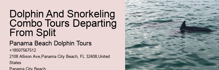 Dolphin Tours In Panama City Florida