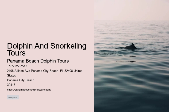 Personalized Dolphin Watching and Snorkeling Trips