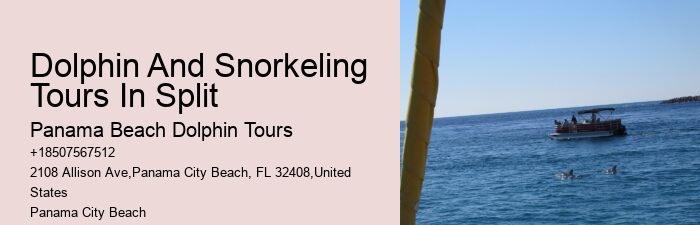 Luxury Dolphin Encounter with Snorkeling