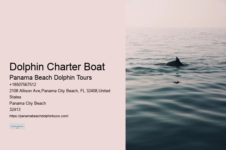 Split Intimate Dolphin And Snorkeling Adventures