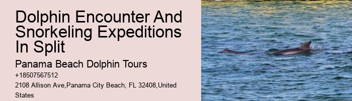 Do You Get Sea Sick On A Dolphin Cruise