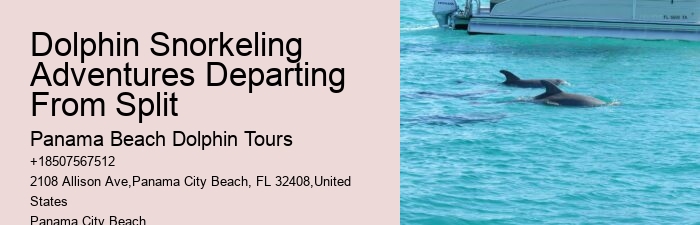Dolphin Snorkeling Adventures Departing From Split