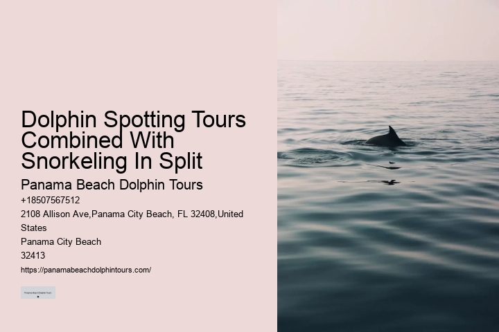 Split Marine Conservation-focused Dolphin And Snorkeling Trips
