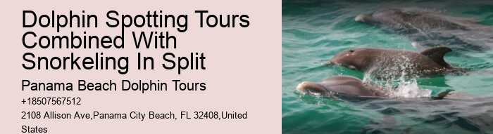 Dolphin And Snorkeling Tours In Panama City Beach