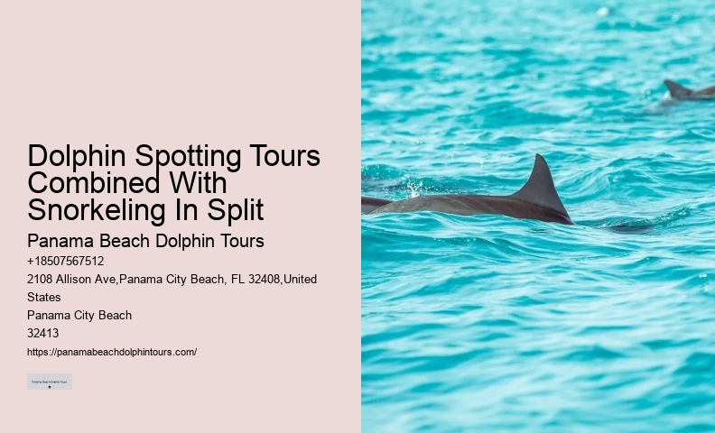 Do Dolphins Like To Play With Humans