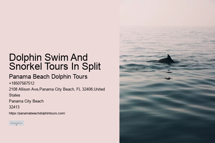 Can You Swim With Dolphins In Miami