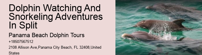 Is The Blue Lagoon Dolphin Encounter Worth It