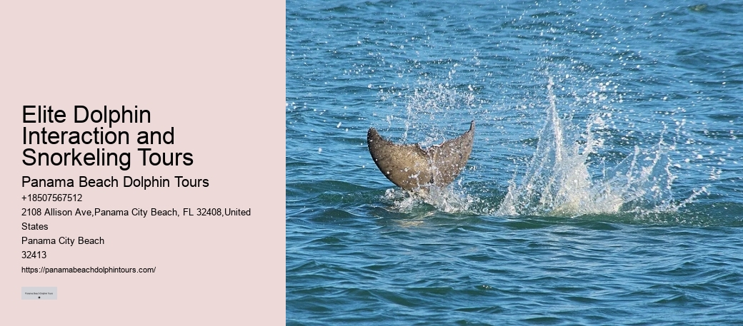 What Are Dolphins Worst Enemies