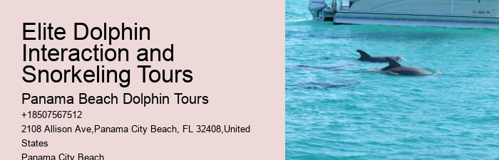 Dolphin Boat Charter