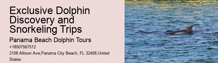 Are food and drinks provided on dolphin tours in Panama City Beach