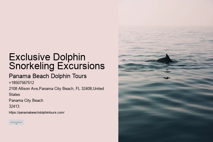 Custom Dolphin Spotting and Snorkeling
