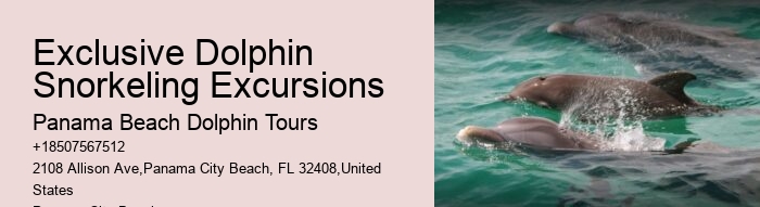 Can I bring my dog on a dolphin tour in Panama City Beach