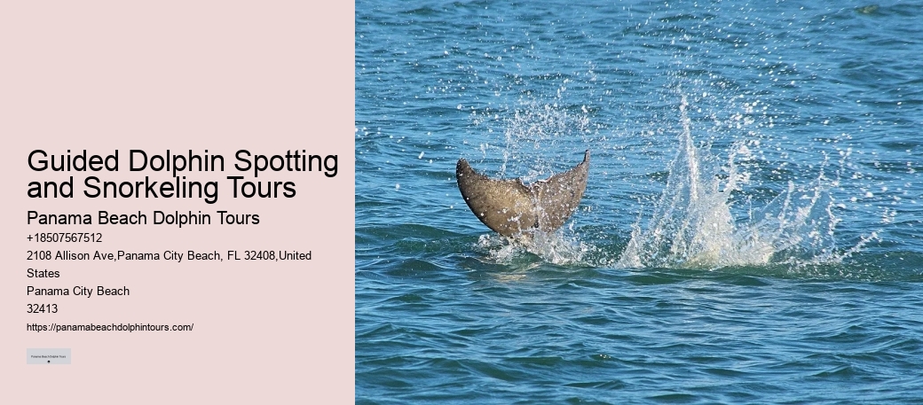 Are Dolphins Aggressive Towards Humans