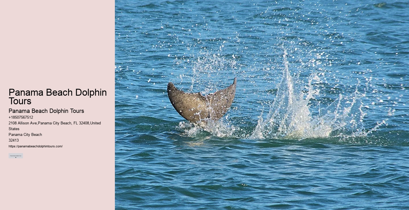 What Does It Mean When Dolphins Come Close To Shore