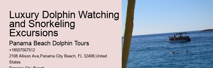Tours to see dolphins in Panama City Beach