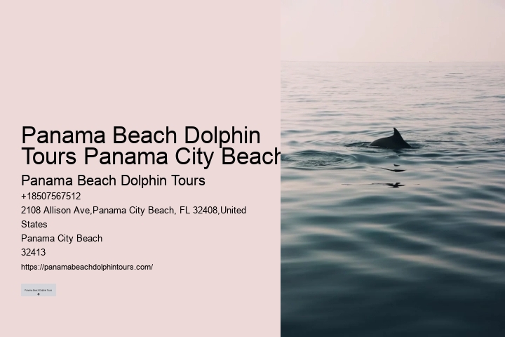 Best Places To See Wild Dolphins