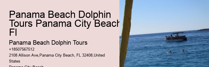 Where Can I See Dolphins In Panama