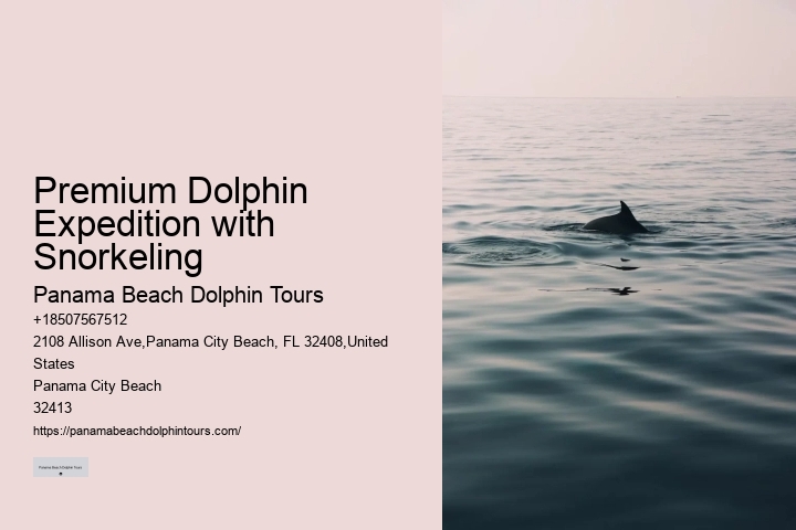 Sunset Dolphin Tours Panama City Beach