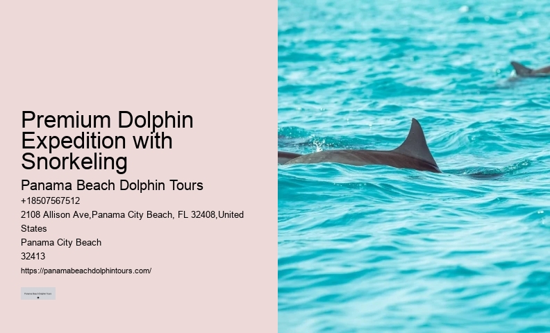 Diving With Dolphins