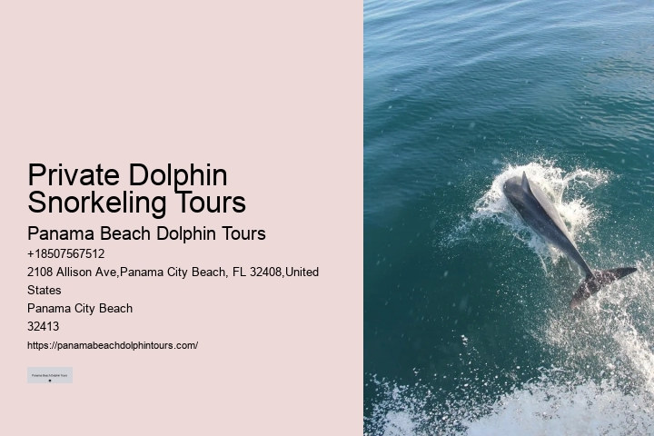 Dolphin Sightseeing Cruises in PCB