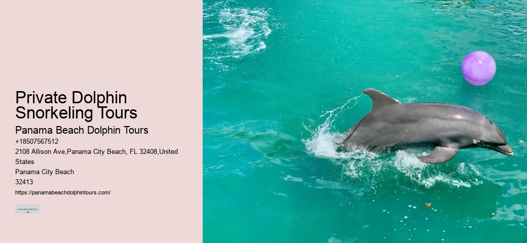 Are there any restrictions on interactions with dolphins during the tours in Panama City Beach