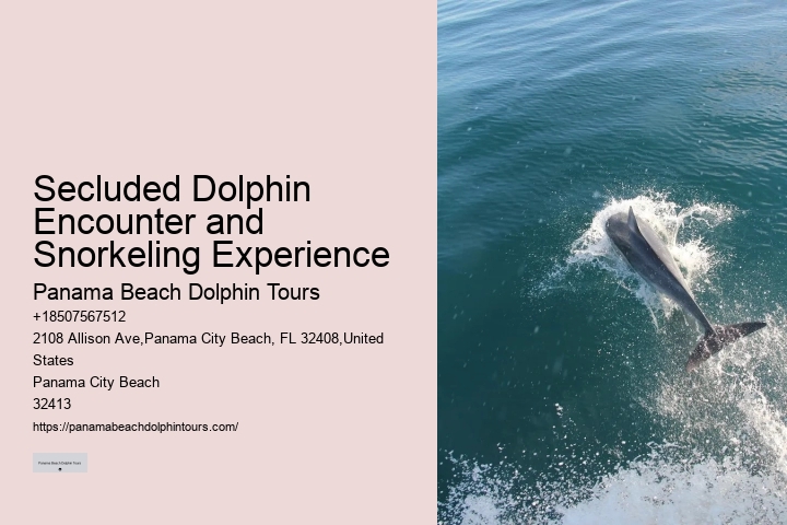 Do You Get Wet On Dolphin Tours