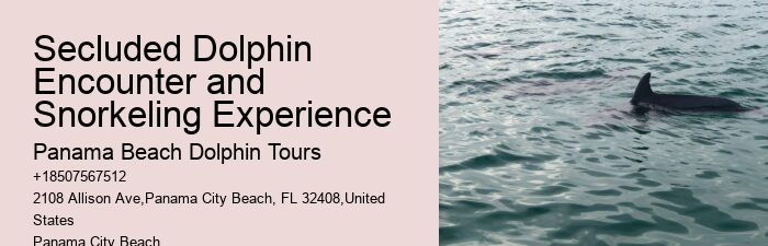Can I take photos during the dolphin tour in Panama City Beach
