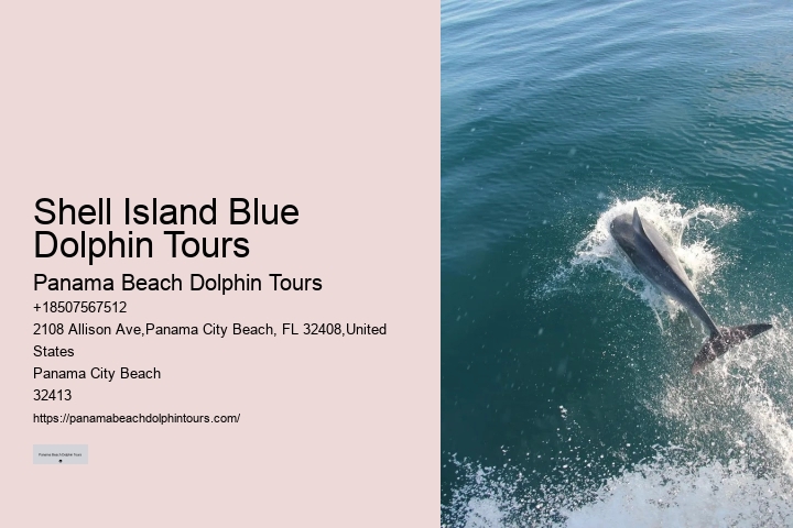 Dolphin Tours 30a