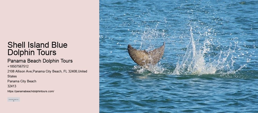 Blue Dolphin Charters Tours