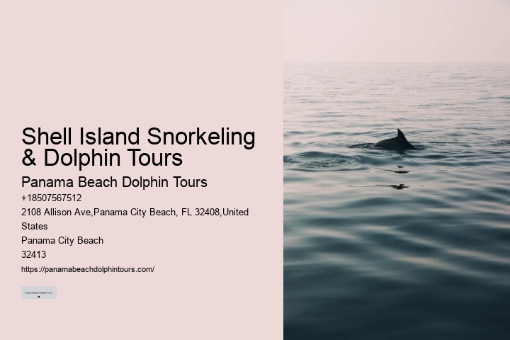 Dolphin Watching And Snorkeling Adventures In Split