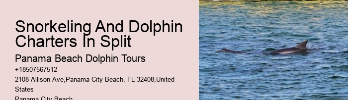 Dolphin Boat Trips PCB