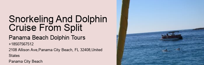 What Is A Dolphins Biggest Enemy