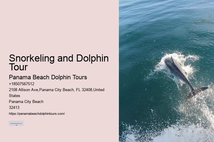 9 Great Dolphin Tours In Panama City Beach