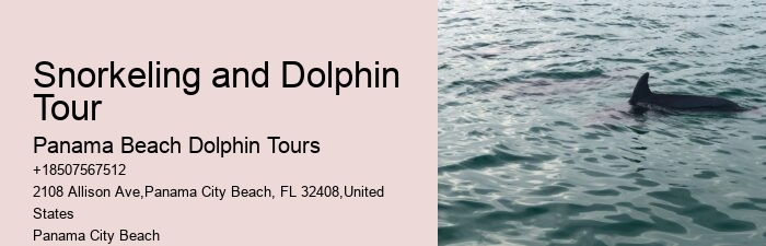 Dolphin And Snorkeling Tour