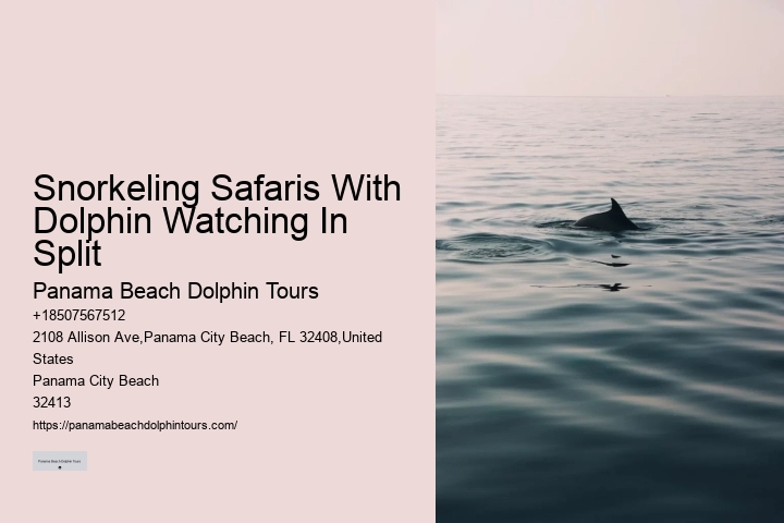 Do Dolphins Ever Bite Hooks
