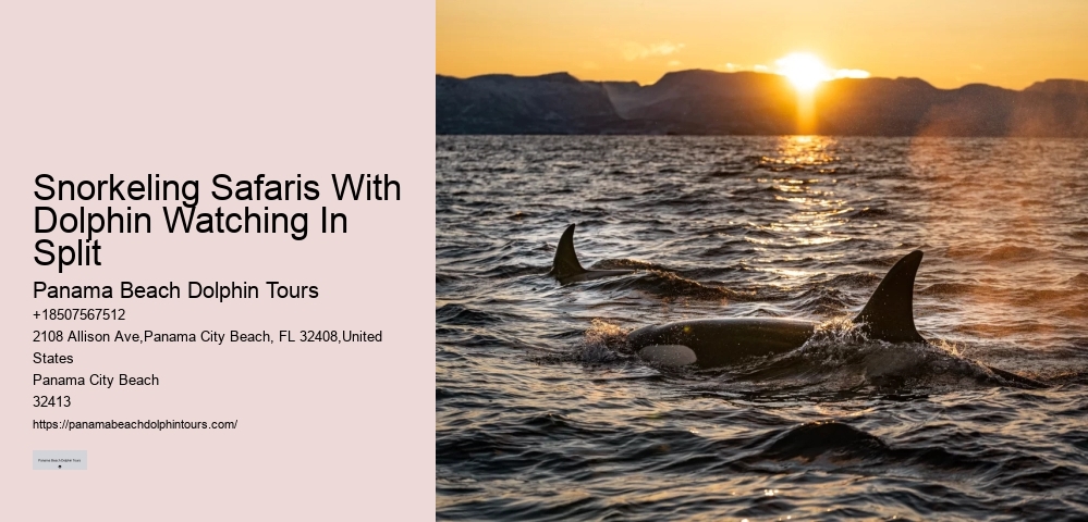 What Is The Life Expectancy Of A Dolphin In Captivity