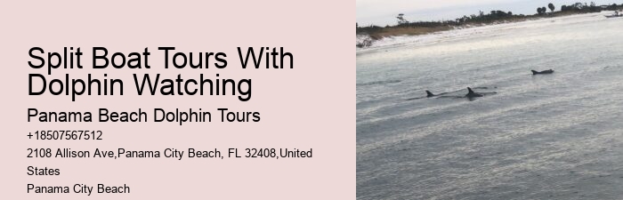 Dolphin sightseeing tours at Panama City Beach