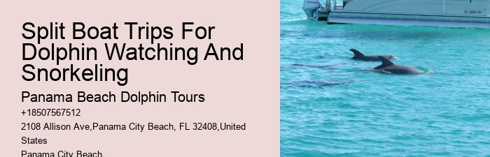 Are there any age restrictions for dolphin tours in Panama City Beach