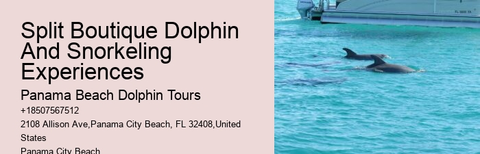 Are Panama City Beach dolphin tours suitable for non-swimmers
