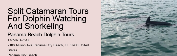 Salty Dogs Dolphin And Adventure Tours